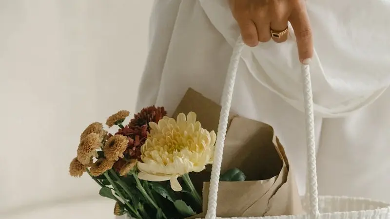 Clothing Style lwspeakstyle